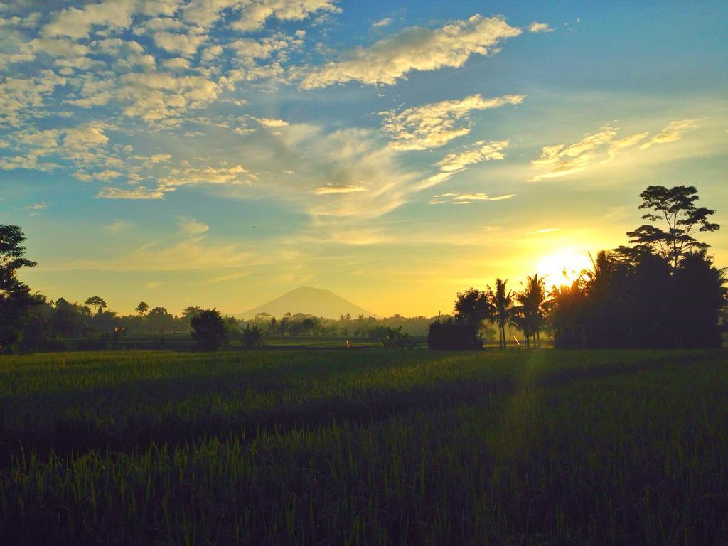 Temuku Villas Ubud - Chse Certified Exterior photo